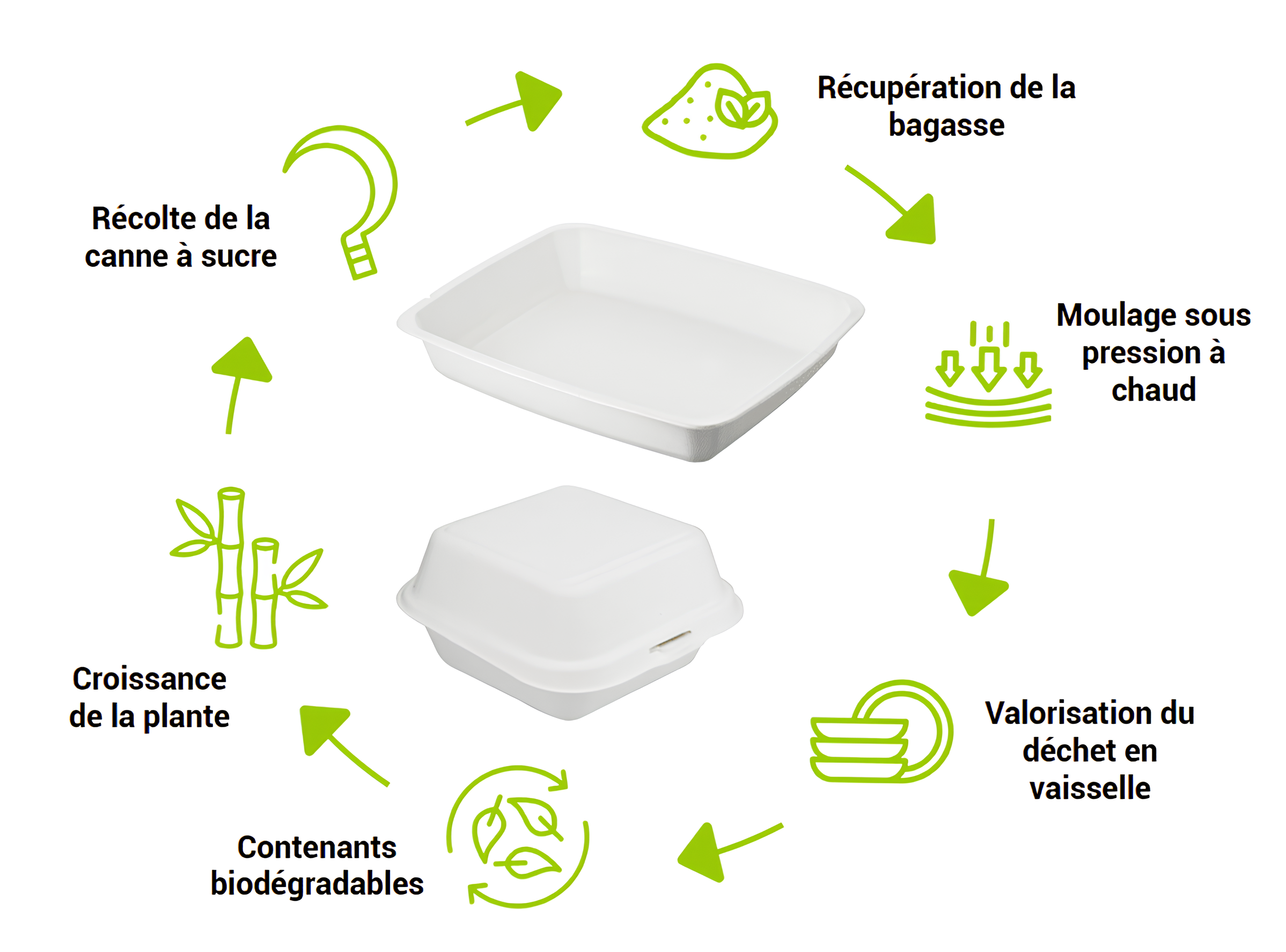 schema du cycle de l'emballage alimentaire en puple