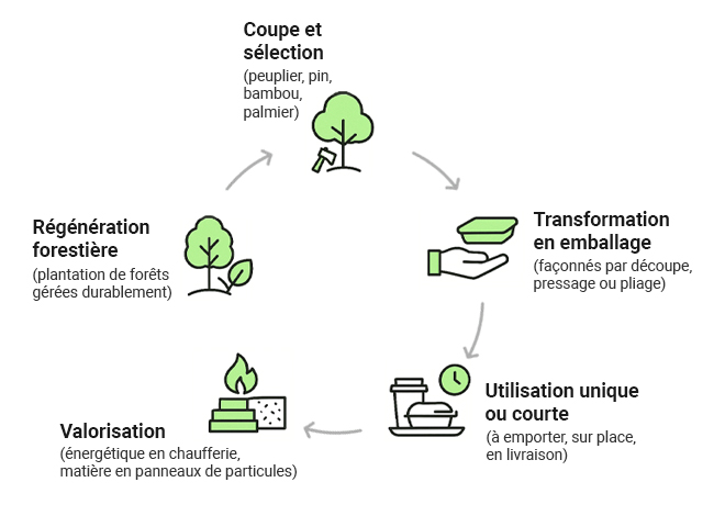 Shéma du processus de fabrication des emballages alimentaires en bois