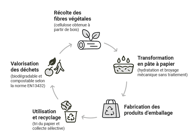 schéma cycle de vie d'un emballage en papier