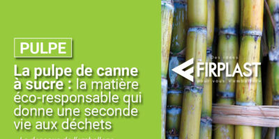 La pulpe de canne à sucre : la matière éco-responsable qui donne une seconde vie aux déchets