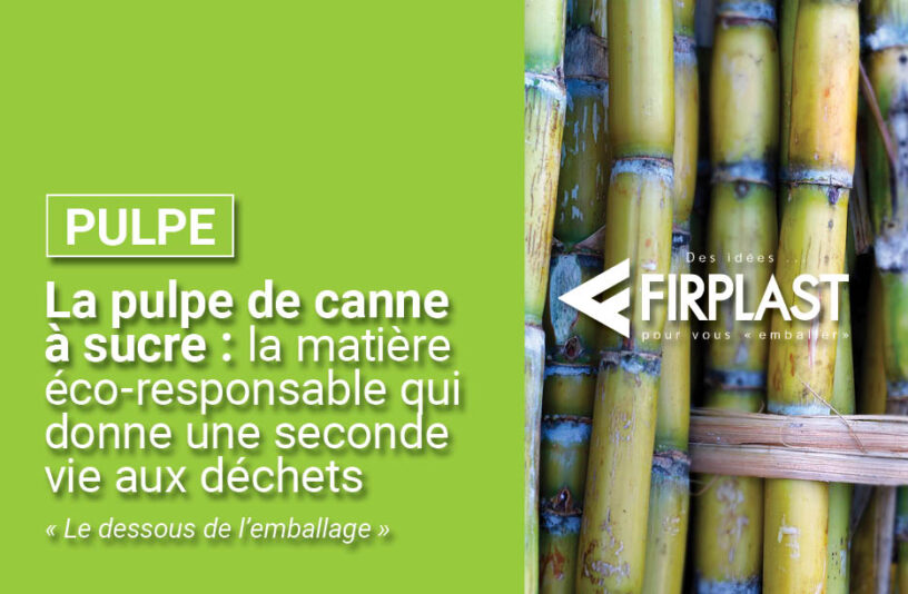 La pulpe de canne à sucre : la matière éco-responsable qui donne une seconde vie aux déchets